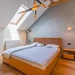 Premium Postavarului Brasov