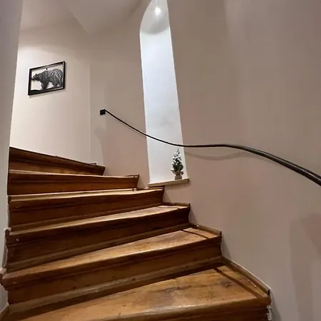 Apartment Premium Postavarului Brasov