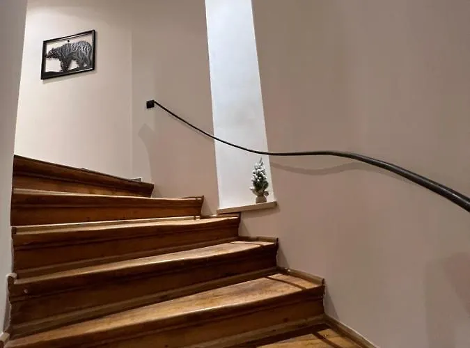 Apartment Premium Postavarului Brasov