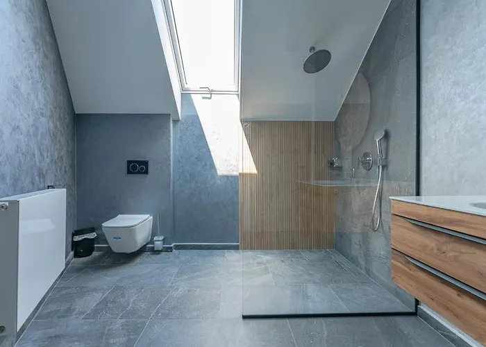 Apartment Premium Postavarului Brasov